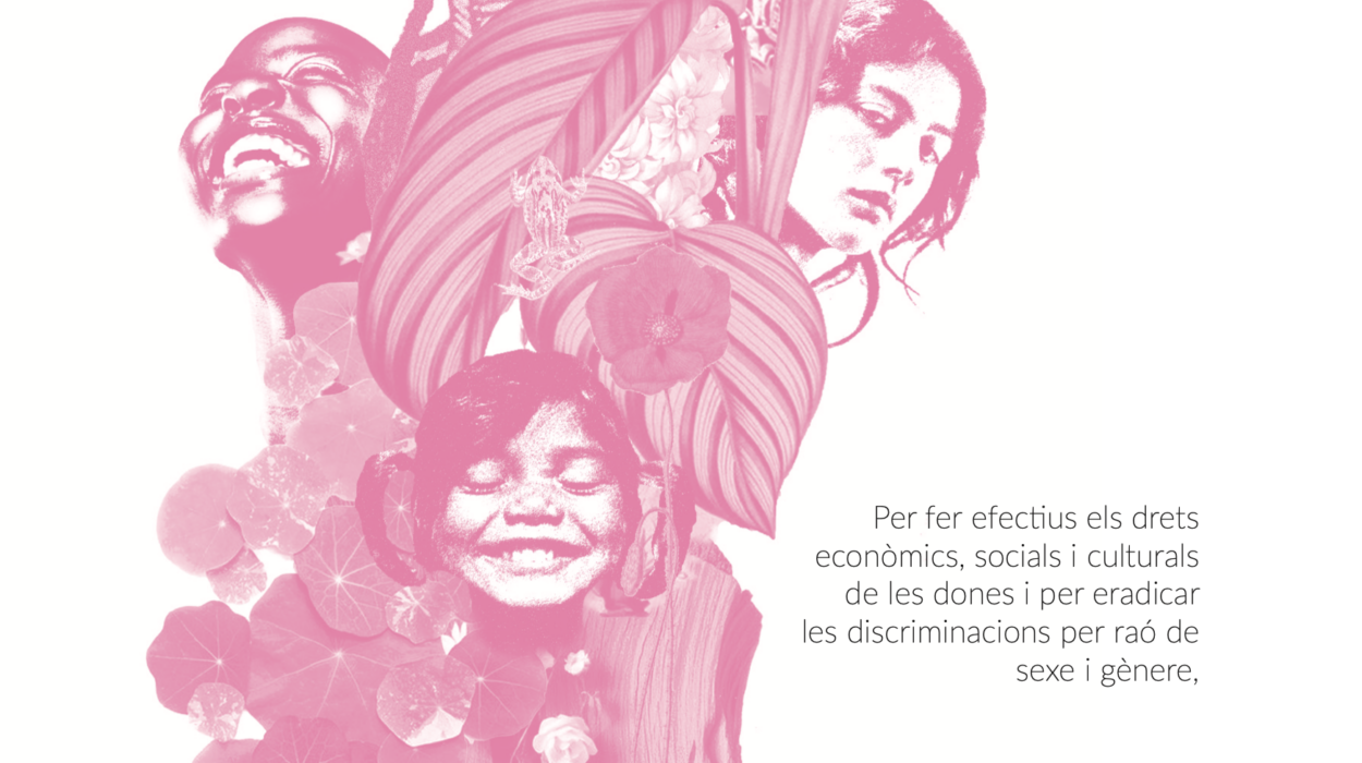 Captura de pantalla 2026-02-25 a les 15.54.14