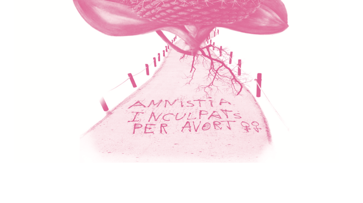 Captura de pantalla 2026-02-25 a les 16.07.46